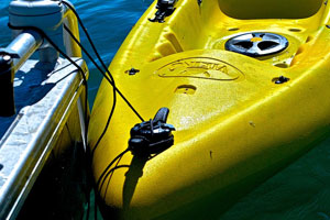 Kayakfish5