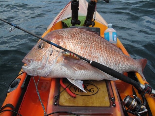 Tackle Tip - Trolling hard Body Lures For Snapper RAILBLAZA